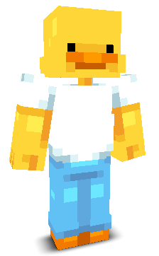 User's Minecraft appearance