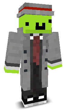 Skin gracza yogipl