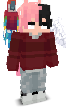 User's Minecraft appearance