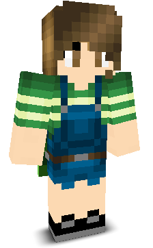 User's Minecraft appearance
