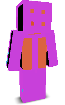 User's Minecraft appearance