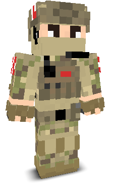 User's Minecraft appearance