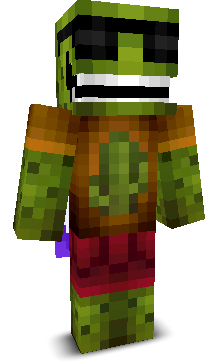User's Minecraft appearance