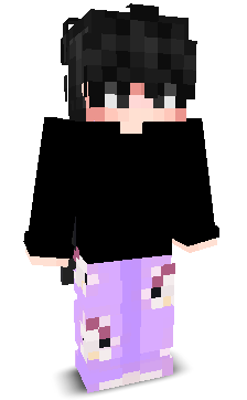 User's Minecraft appearance