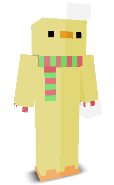 User's Minecraft appearance