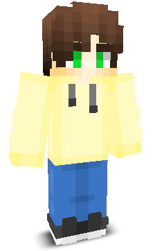 User's Minecraft appearance