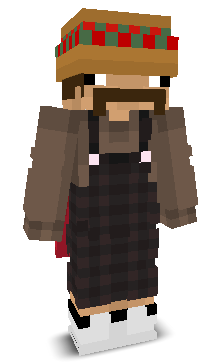 User's Minecraft appearance