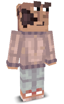 User's Minecraft appearance