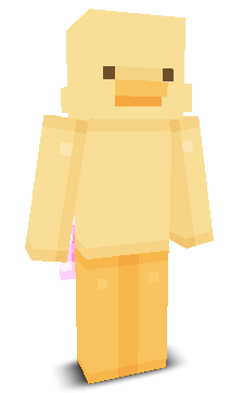 User's Minecraft appearance