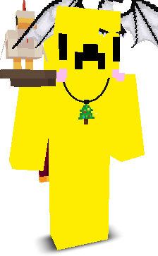 User's Minecraft appearance
