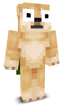 User's Minecraft appearance