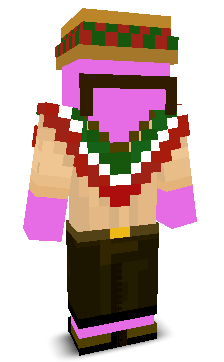 User's Minecraft appearance