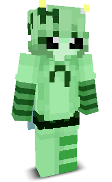 User's Minecraft appearance