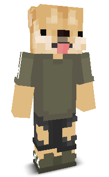 User's Minecraft appearance