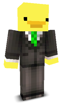 User's Minecraft appearance