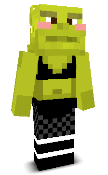 User's Minecraft appearance