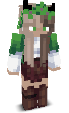 User's Minecraft appearance