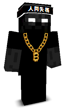 User's Minecraft appearance