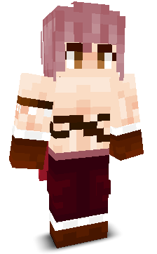 User's Minecraft appearance
