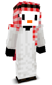 User's Minecraft appearance