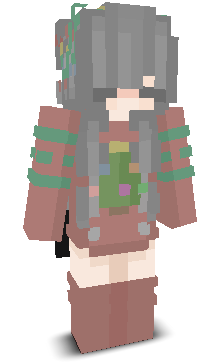 User's Minecraft appearance