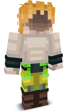 User's Minecraft appearance