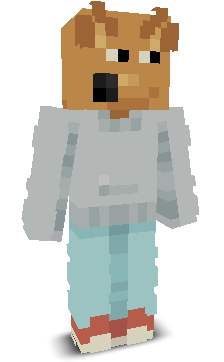 User's Minecraft appearance