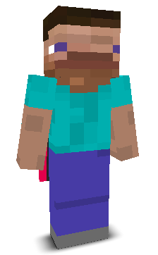 User's Minecraft appearance