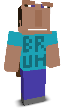 User's Minecraft appearance