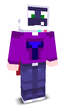 User's Minecraft appearance