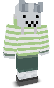 User's Minecraft appearance