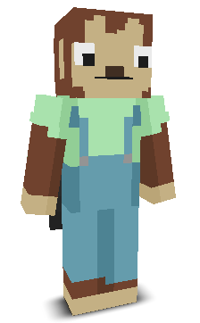 User's Minecraft appearance