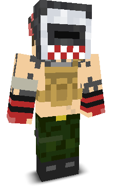 User's Minecraft appearance