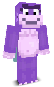 User's Minecraft appearance