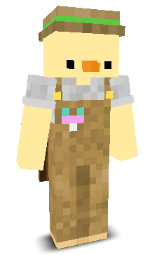 User's Minecraft appearance