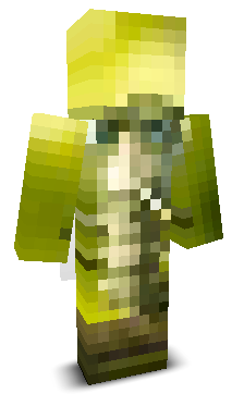 User's Minecraft appearance