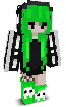 User's Minecraft appearance