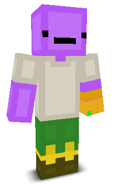User's Minecraft appearance