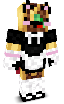 User's Minecraft appearance