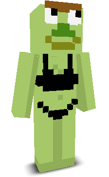 User's Minecraft appearance
