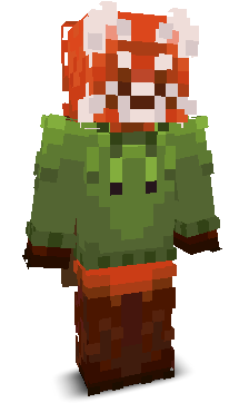 User's Minecraft appearance