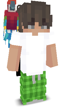 User's Minecraft appearance