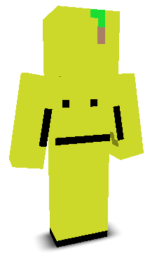 User's Minecraft appearance