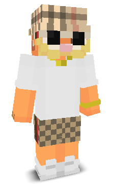 User's Minecraft appearance