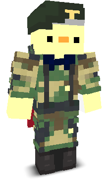 User's Minecraft appearance