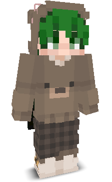 User's Minecraft appearance