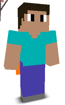 User's Minecraft appearance