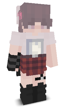 User's Minecraft appearance