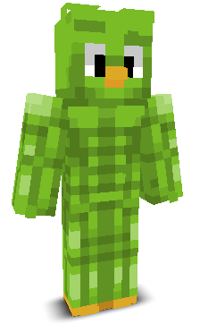 User's Minecraft appearance