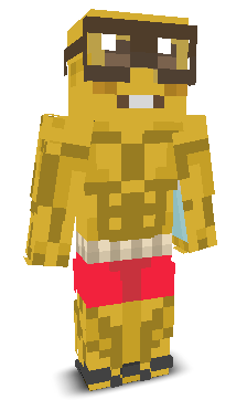 User's Minecraft appearance